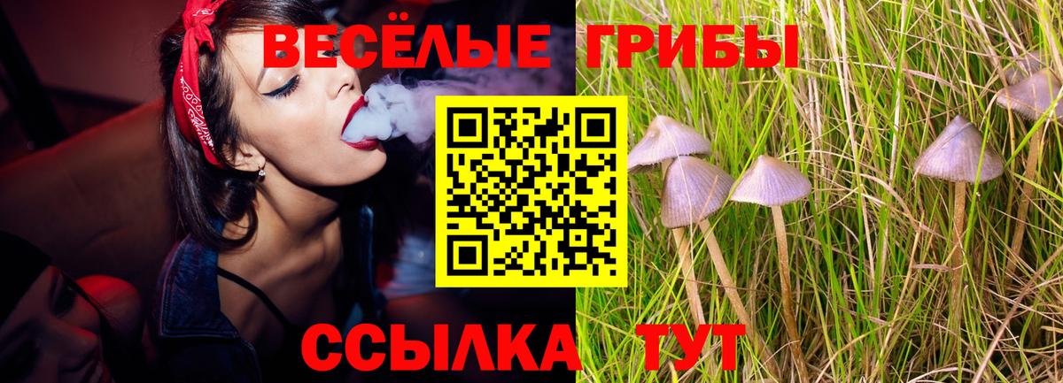 Псилоцибиновые грибы ЛСД  Вход с VPN  Новомосковск  Псилоцибиновые грибы Psilocybine cubensis 